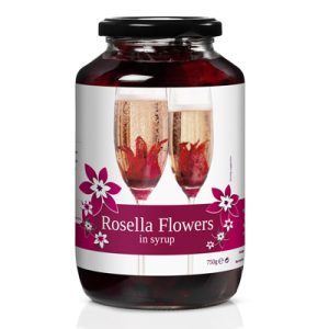 Flor de Hibiscus